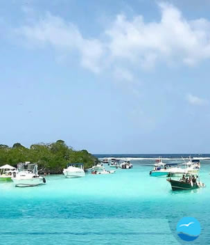 Card image cap rounded